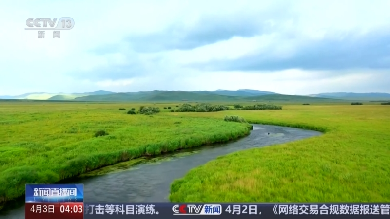 植樹增綠 建設美麗中國